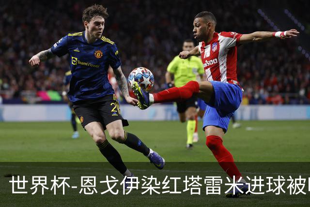世界杯-恩戈伊染红塔雷米进球被吹 10人比利时0-0伊朗